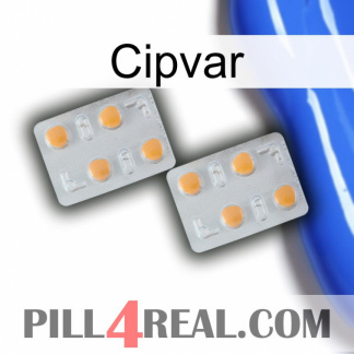 Cipvar 25